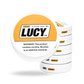 Pouches